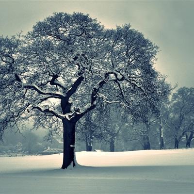 365足球外围平台截图